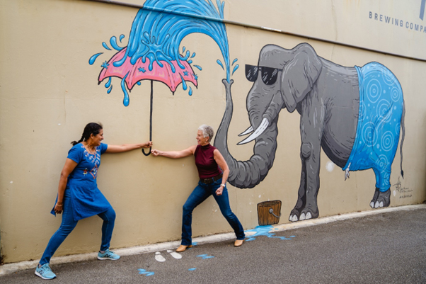 Elephant artwork in Albany