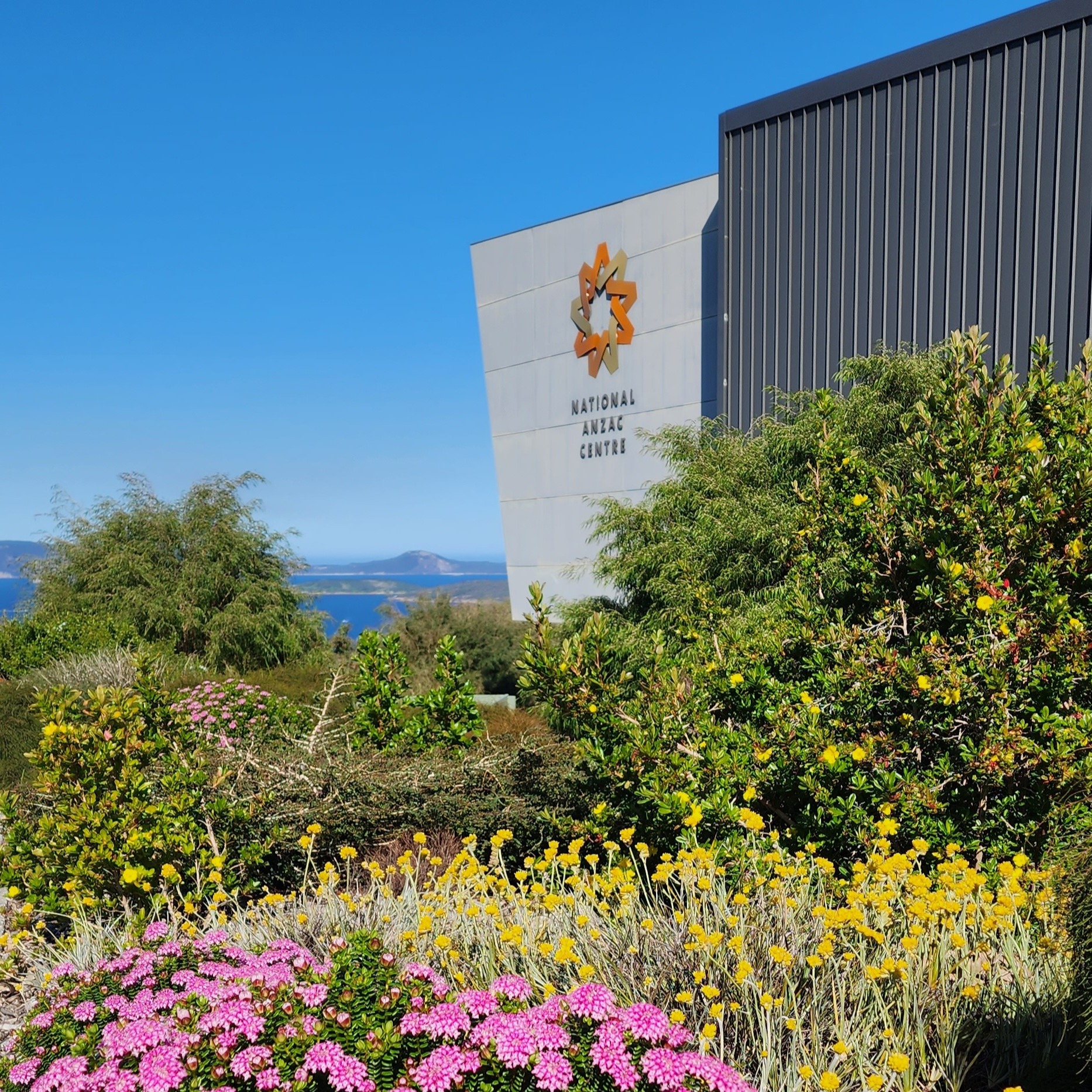 The National Anzac Centre building viewed behind bright pink and yellow flowers and green bushes.