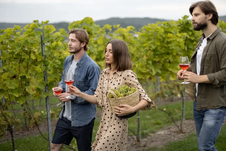 Albany vineyard tour