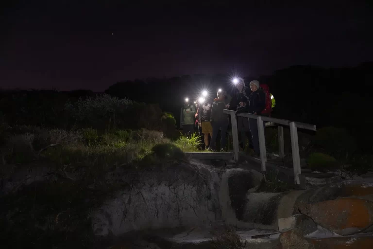 Albany magic hike