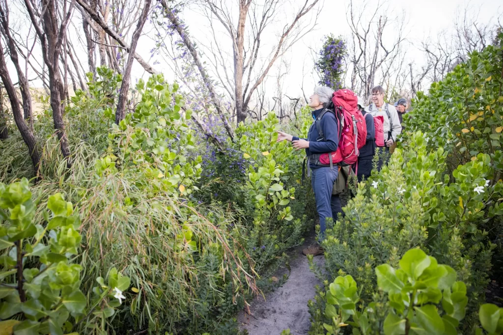 Walk Trail