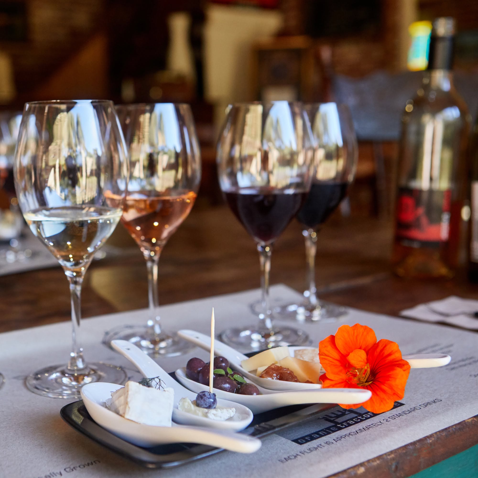A curated tasting flight featuring four glasses of Great Southern Wine paired with individual spoonfuls of cheese, olives, and preserves garnished with a bright orange flower.