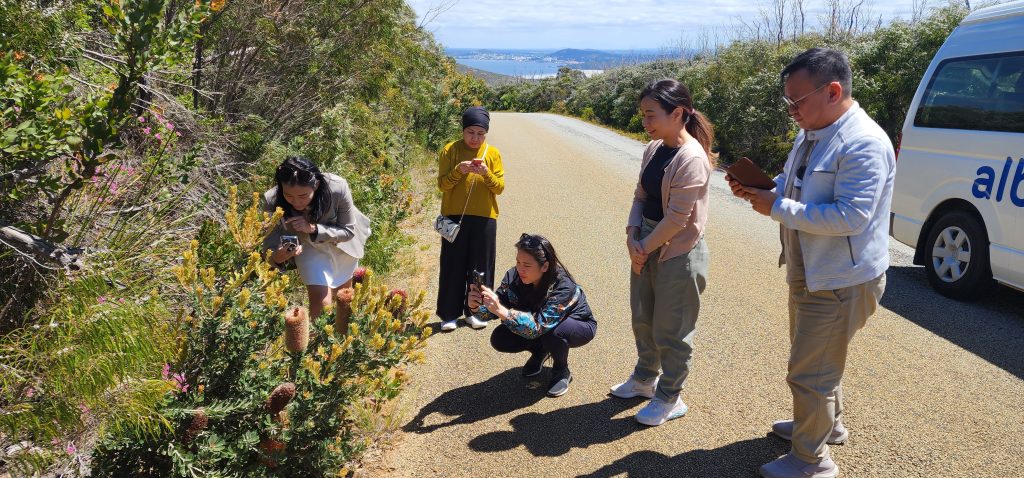 albany tours stony hill torndirrup national park gnw susan mccabe 20231102