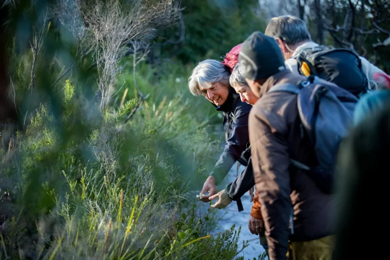 group leaning in to see wildflowers in bushland