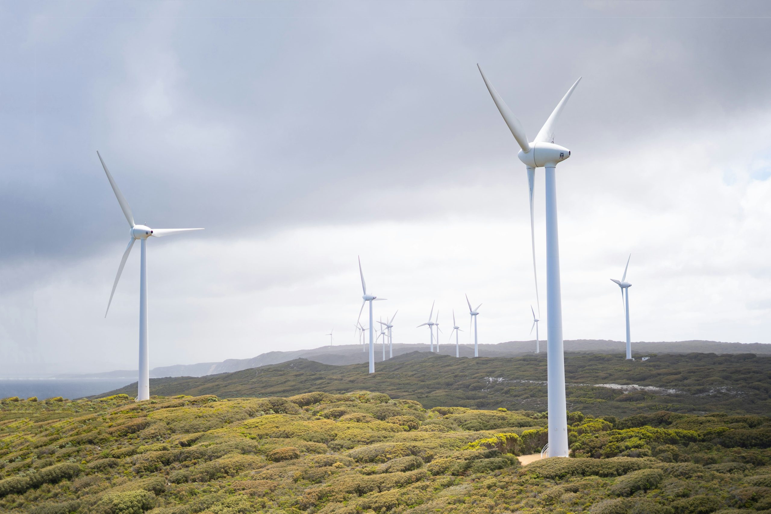 The iconic Albany Wind Farm turbines standing tall along the lush green coastline, a scenic year-round attraction to visit between local events.