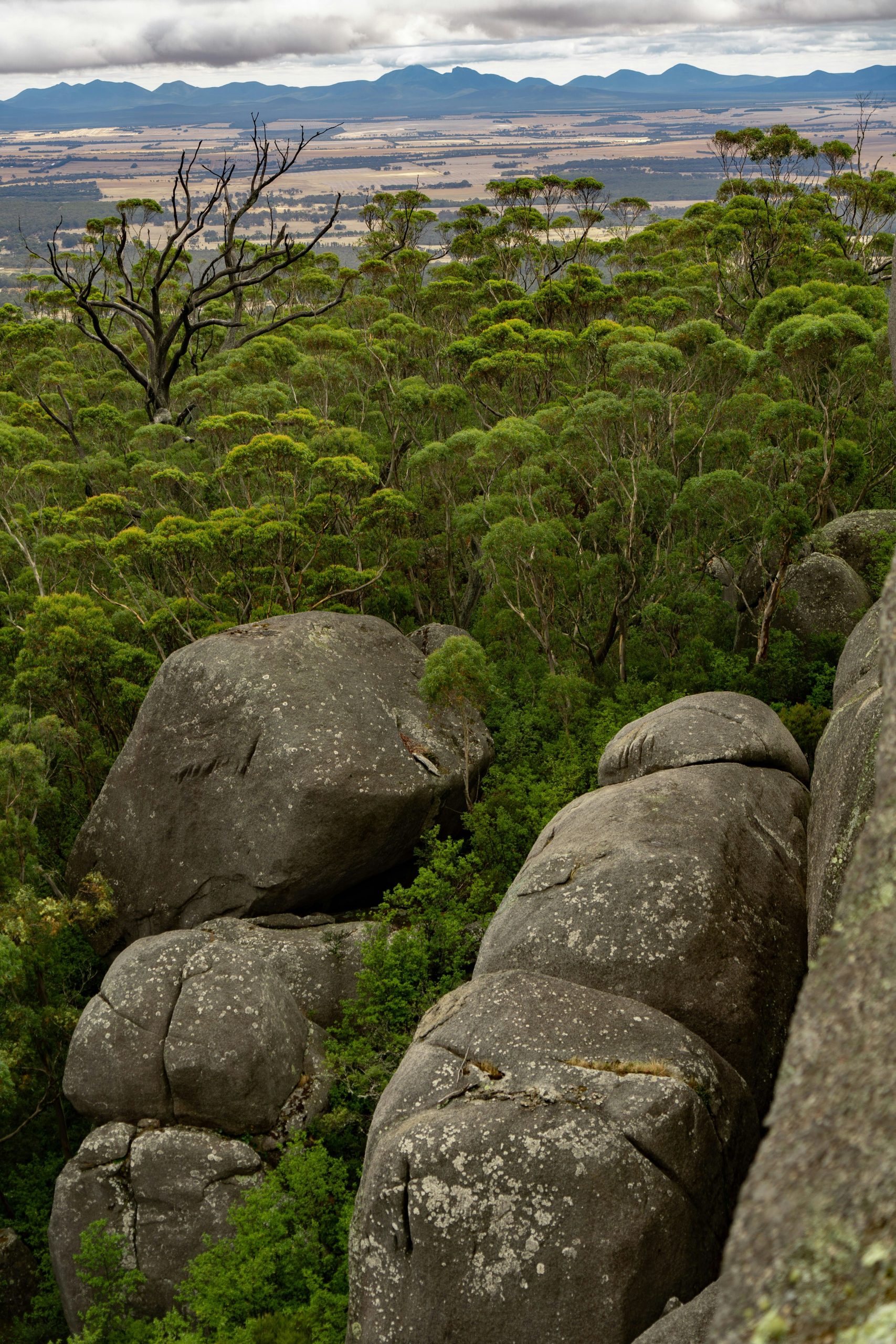Looking out over massive granite boulders and lush forest toward the Stirling Range, a highly recommended hiking activity near Albany WA.