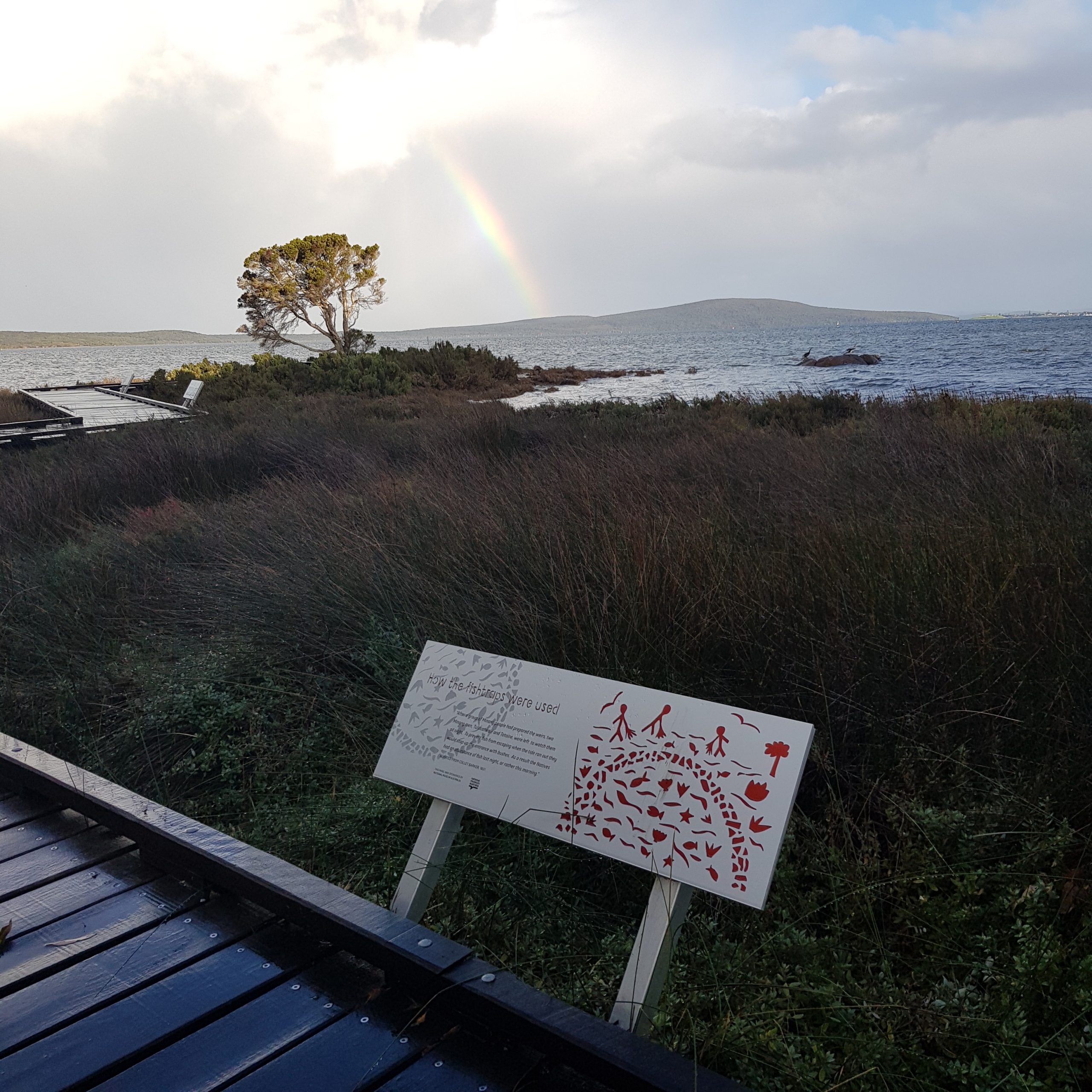 A coastal landscape with a faint rainbow in the sky, featuring a wooden boardwalk and an interpretive sign displaying red graphic illustrations that highlight local Albany Arts.