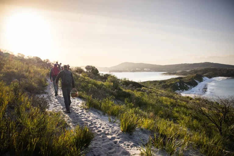 hikers on sandy hike trail through bushland near beach