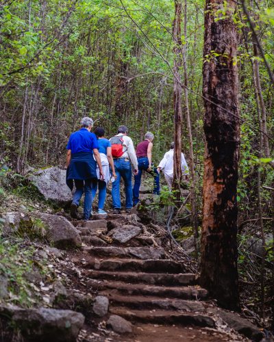 0028 guests on hiking trail up to castle rock porongurups gsp albanytours baseimagery albany western australia