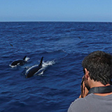 Killer Whale Expedition